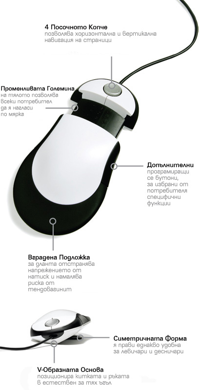Features Images: Switch Mouse 01